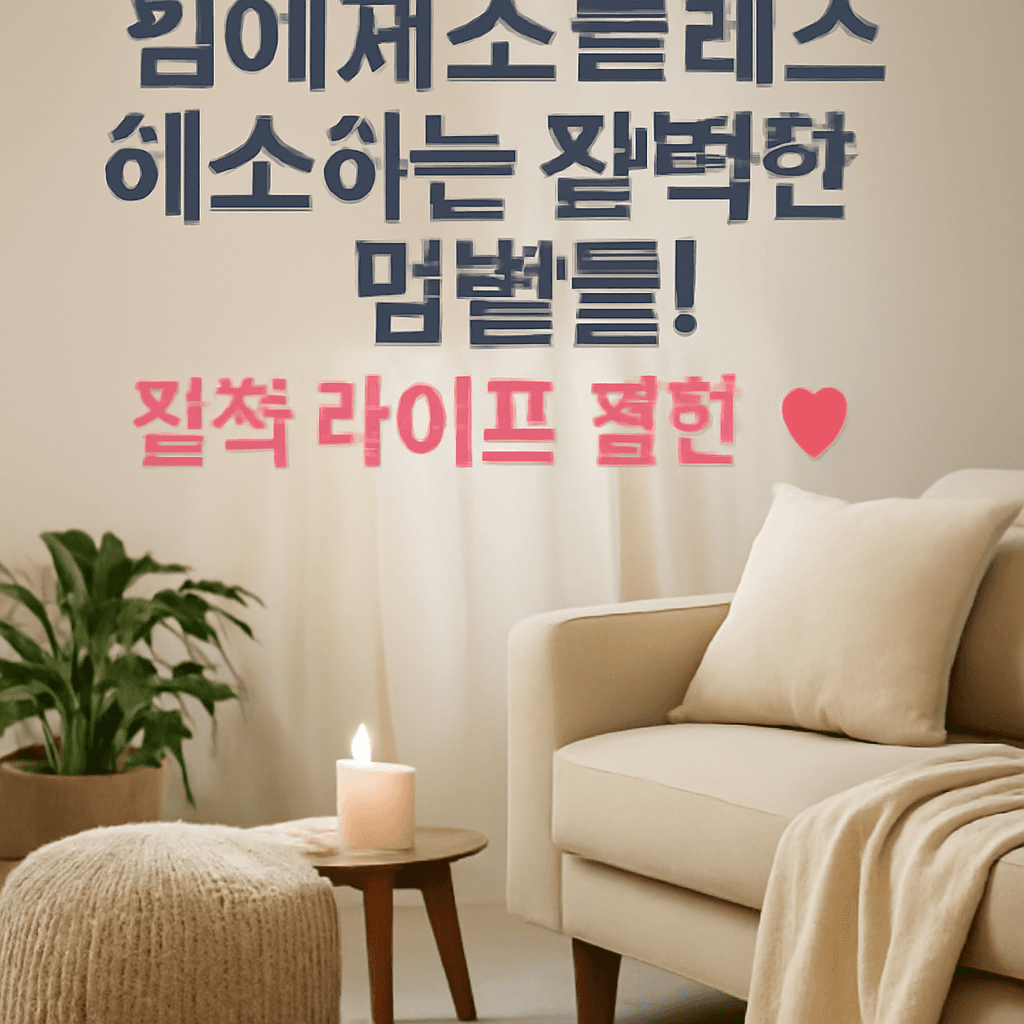 집에서 스트레스 해소하는 완벽한 방법들! 집콕 라이프 꿀팁 💕