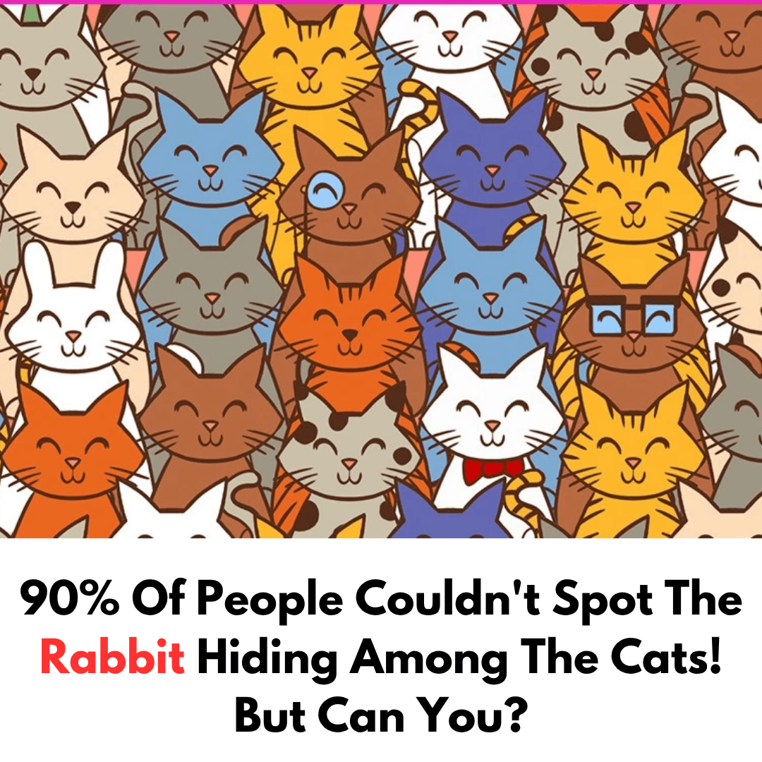 90% Of People Couldn't Spot The Rabbit Hiding Among The Cats! But Can You?
