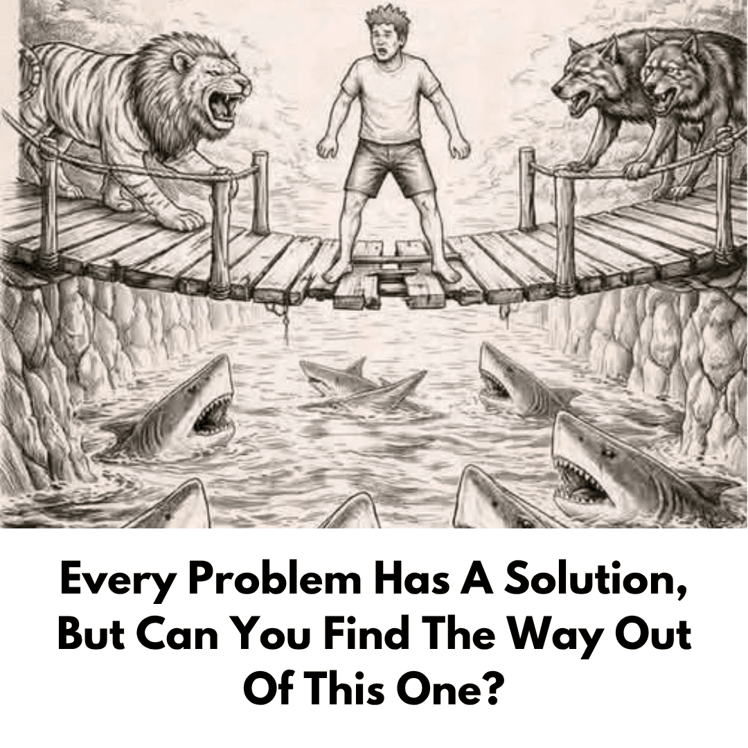 Every Problem Has A Solution, But Can You Find The Way Out Of This One?