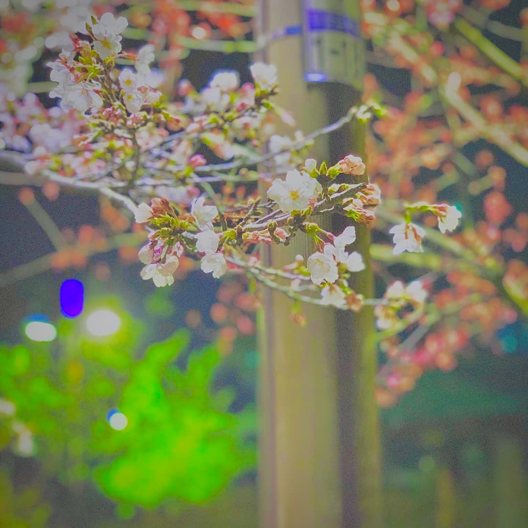 우아한유령 프로필 이미지