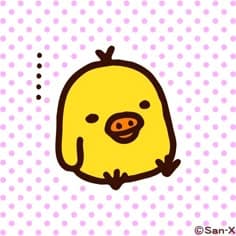 김단단 프로필 이미지